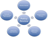 Policy review and development