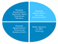 Application security assessment